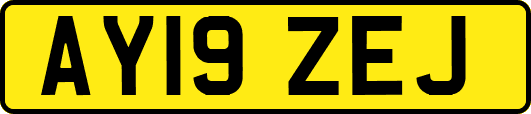 AY19ZEJ