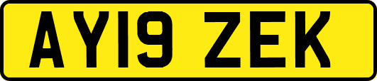 AY19ZEK
