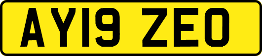 AY19ZEO