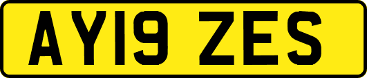 AY19ZES