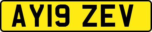 AY19ZEV