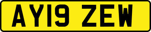 AY19ZEW