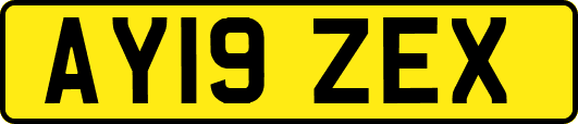 AY19ZEX