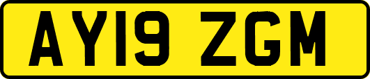 AY19ZGM