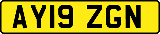 AY19ZGN