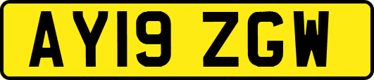AY19ZGW