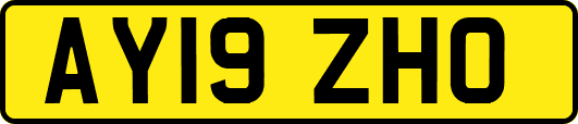 AY19ZHO