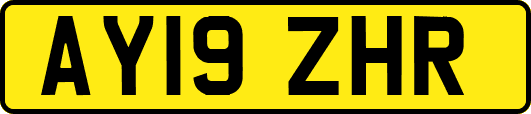 AY19ZHR