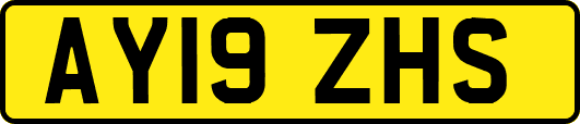 AY19ZHS
