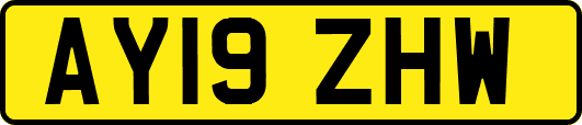 AY19ZHW