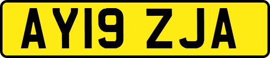AY19ZJA