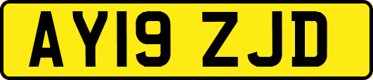 AY19ZJD