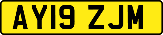 AY19ZJM