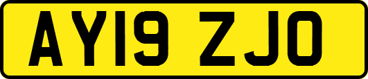 AY19ZJO