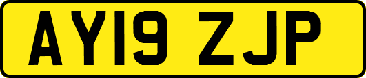 AY19ZJP