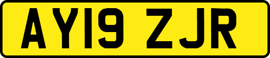 AY19ZJR