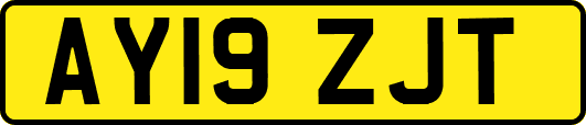 AY19ZJT