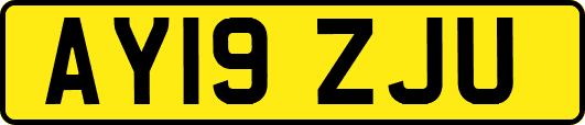 AY19ZJU