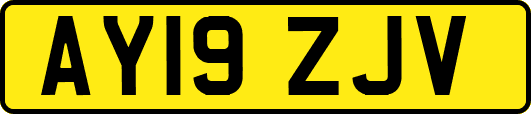 AY19ZJV