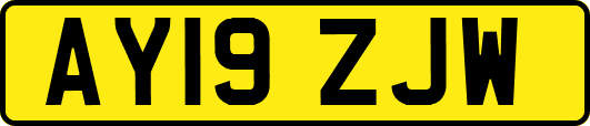 AY19ZJW