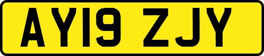 AY19ZJY