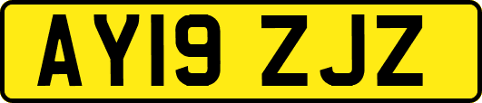 AY19ZJZ