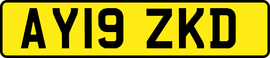 AY19ZKD