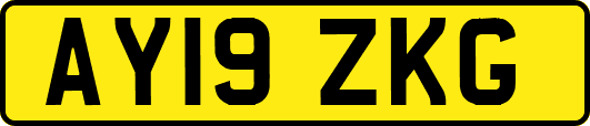 AY19ZKG