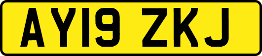 AY19ZKJ
