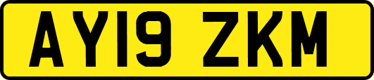 AY19ZKM