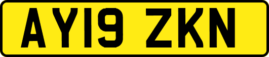 AY19ZKN