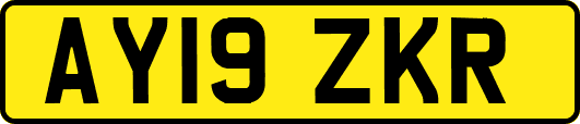 AY19ZKR