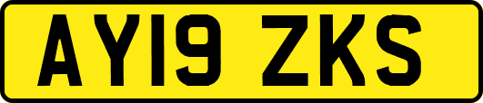 AY19ZKS