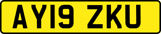 AY19ZKU