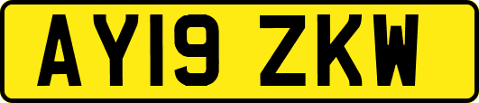 AY19ZKW