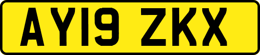 AY19ZKX
