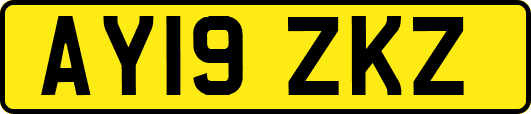 AY19ZKZ
