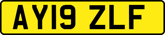 AY19ZLF