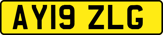 AY19ZLG