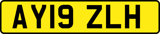 AY19ZLH