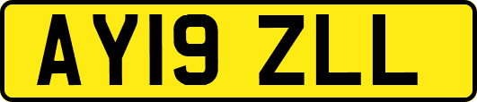 AY19ZLL