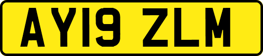 AY19ZLM