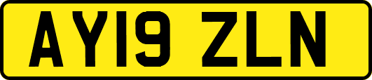 AY19ZLN