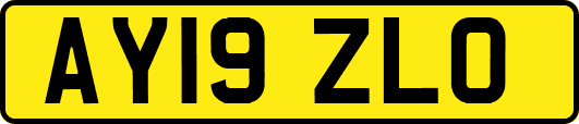 AY19ZLO