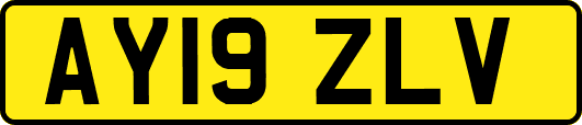 AY19ZLV