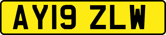 AY19ZLW