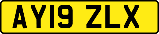 AY19ZLX