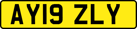 AY19ZLY