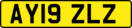 AY19ZLZ