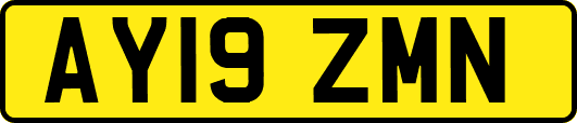 AY19ZMN